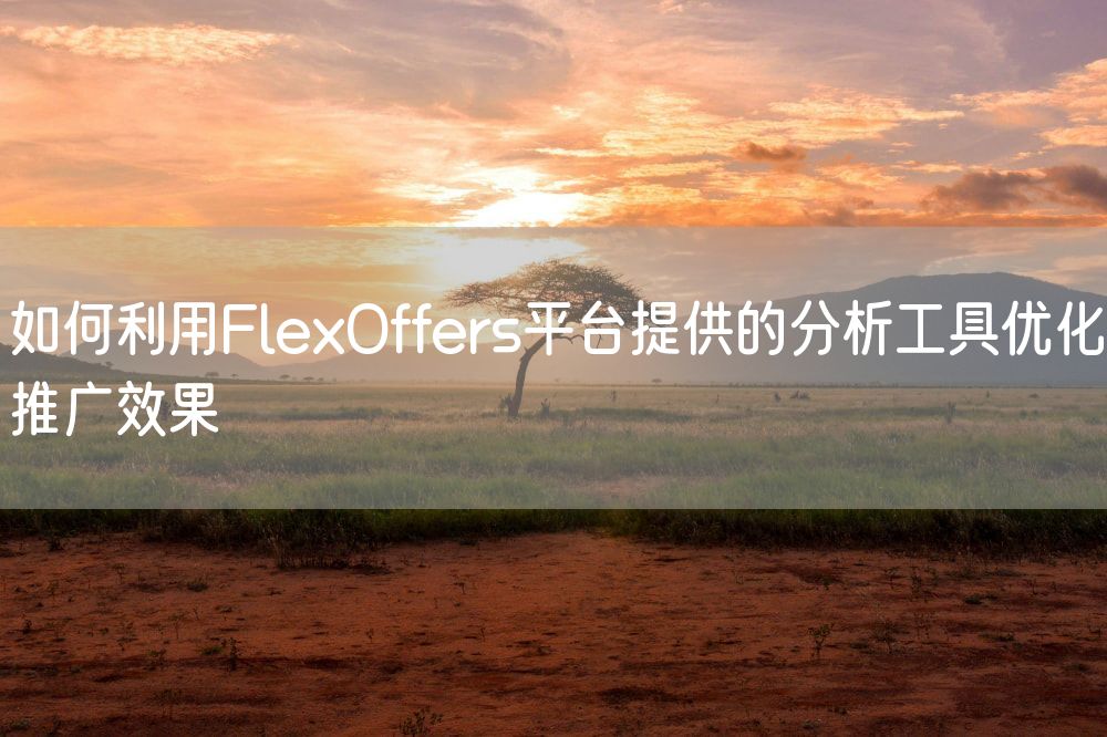 如何利用FlexOffers平台提供的分析工具优化推广效果