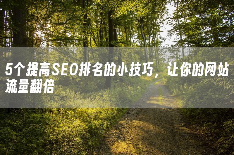 5个提高SEO排名的小技巧，让你的网站流量翻倍