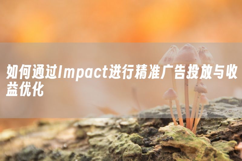 如何通过Impact进行精准广告投放与收益优化