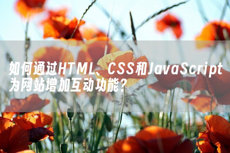 如何通过HTML、CSS和JavaScript为网站增加互动功能？