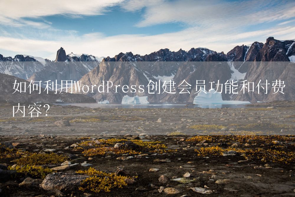 如何利用WordPress创建会员功能和付费内容？