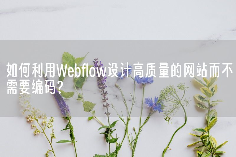 如何利用Webflow设计高质量的网站而不需要编码？