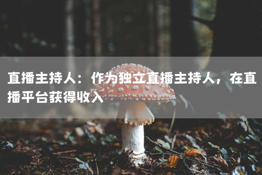 直播主持人：作为独立直播主持人，在直播平台获得收入