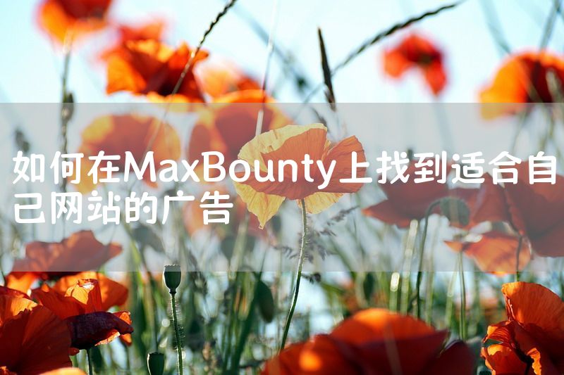 如何在MaxBounty上找到适合自己网站的广告