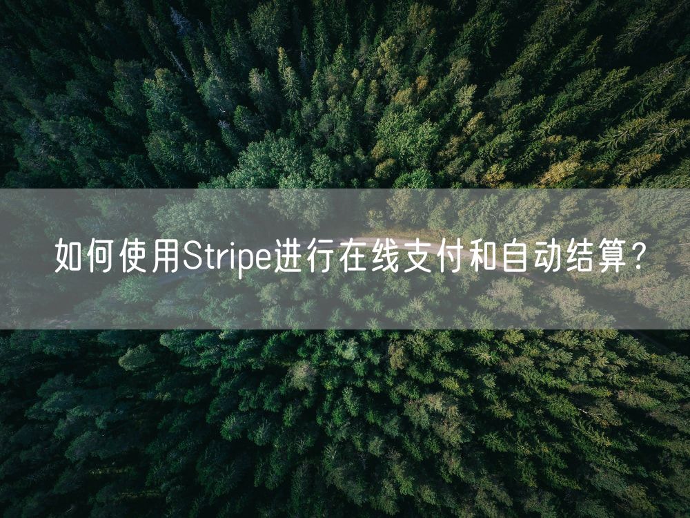 如何使用Stripe进行在线支付和自动结算？