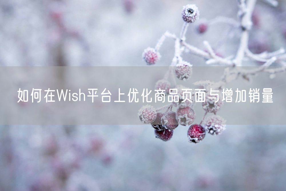 如何在Wish平台上优化商品页面与增加销量