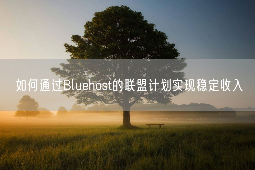 如何通过Bluehost的联盟计划实现稳定收入