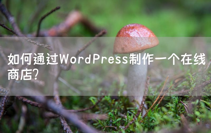 如何通过WordPress制作一个在线商店？