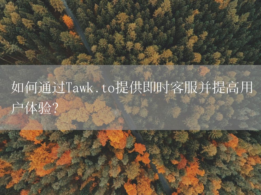 如何通过Tawk.to提供即时客服并提高用户体验？