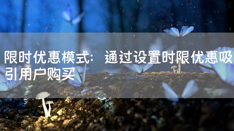 限时优惠模式：通过设置时限优惠吸引用户购买