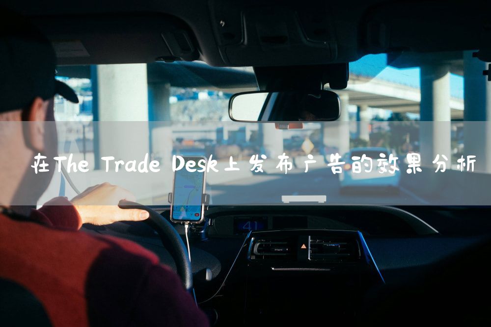 在The Trade Desk上发布广告的效果分析