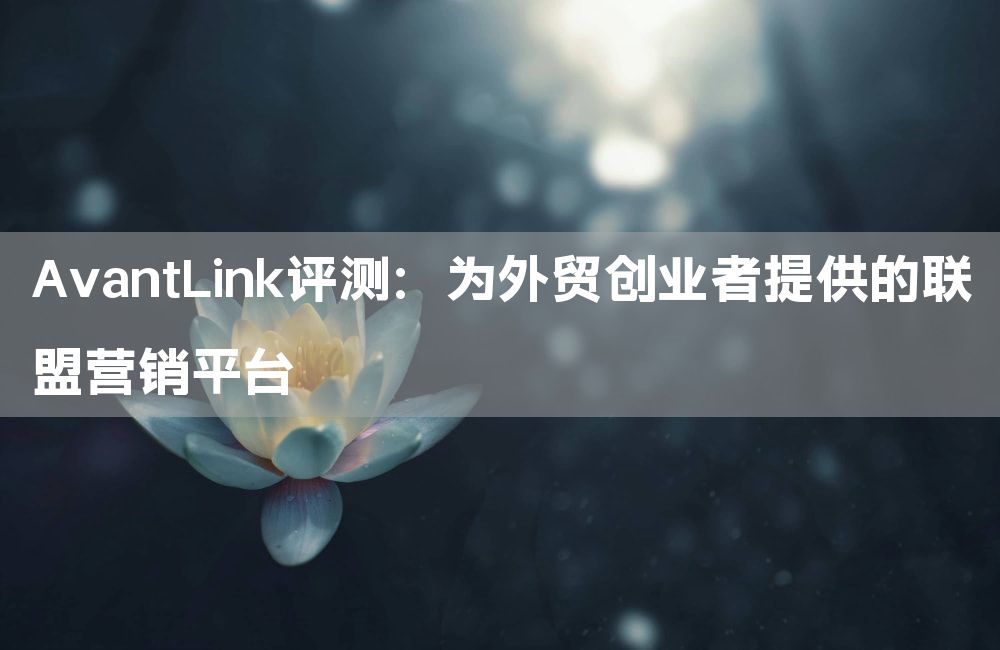 AvantLink评测：为外贸创业者提供的联盟营销平台