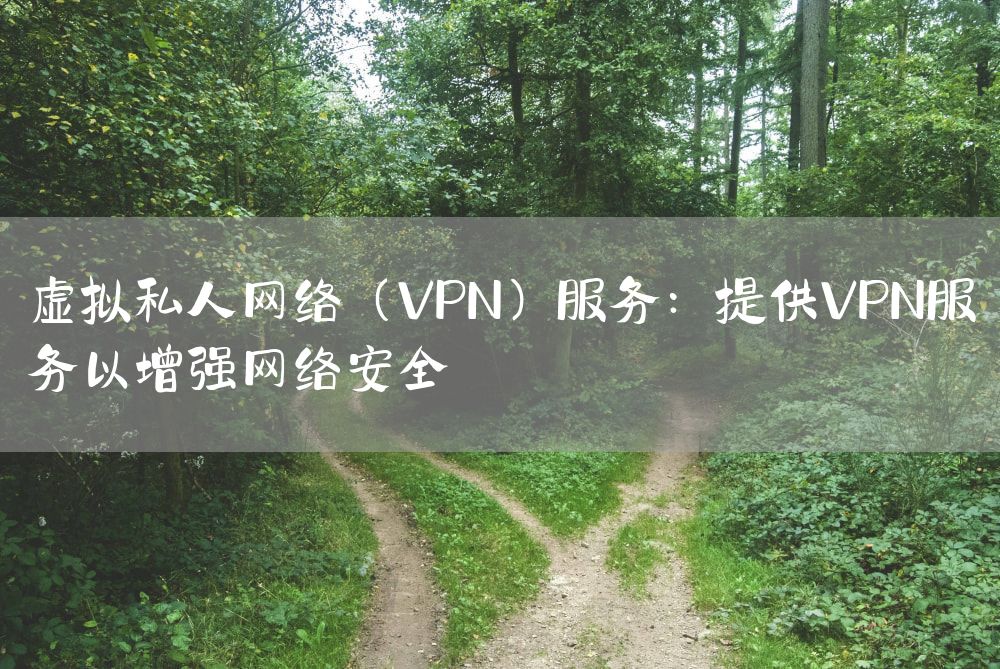 虚拟私人网络（VPN）服务：提供VPN服务以增强网络安全