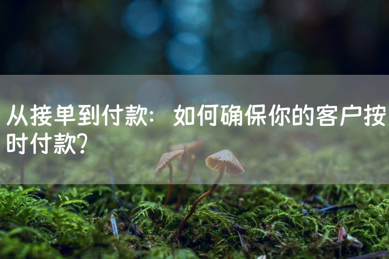 从接单到付款：如何确保你的客户按时付款？