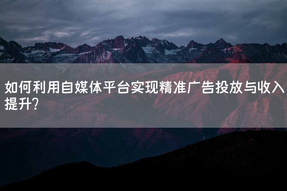 如何利用自媒体平台实现精准广告投放与收入提升？