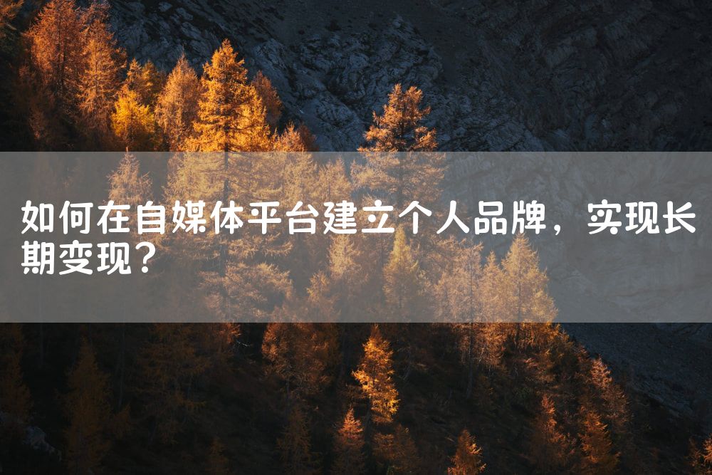 如何在自媒体平台建立个人品牌，实现长期变现？