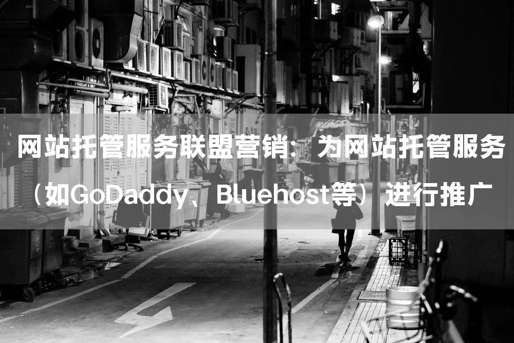 网站托管服务联盟营销：为网站托管服务（如GoDaddy、Bluehost等）进行推广