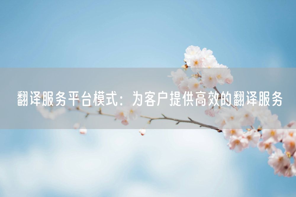 翻译服务平台模式：为客户提供高效的翻译服务