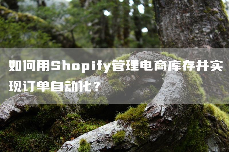 如何用Shopify管理电商库存并实现订单自动化？