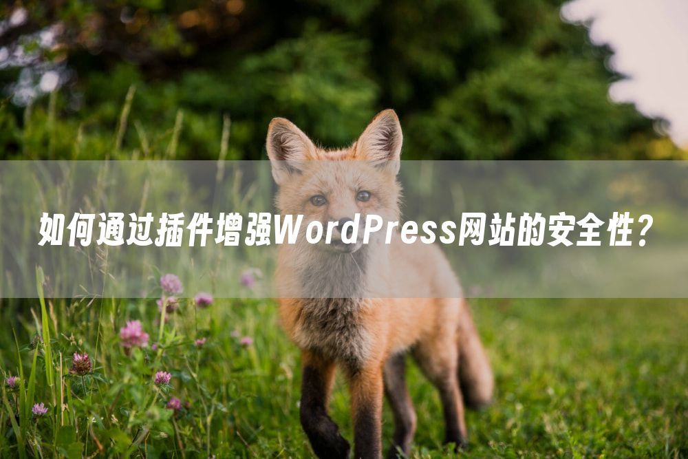 如何通过插件增强WordPress网站的安全性？