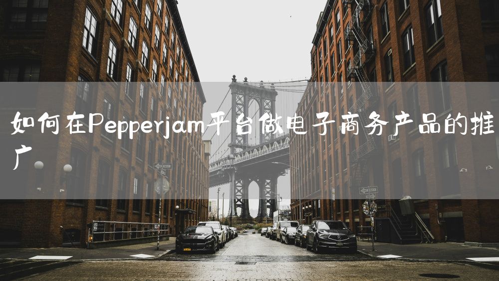 如何在Pepperjam平台做电子商务产品的推广