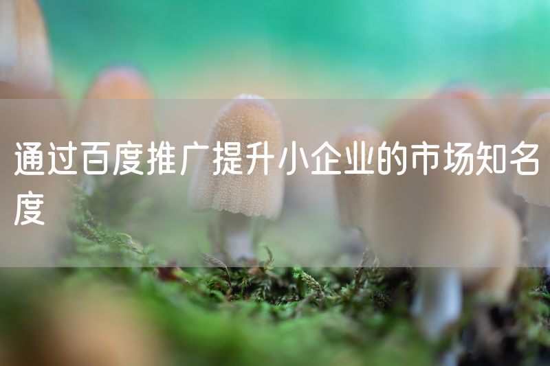 通过百度推广提升小企业的市场知名度