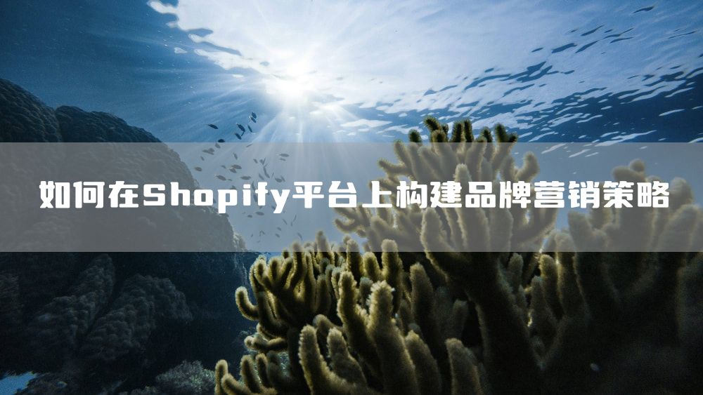 如何在Shopify平台上构建品牌营销策略