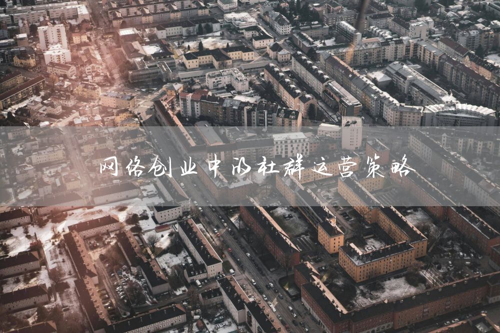 网络创业中的社群运营策略