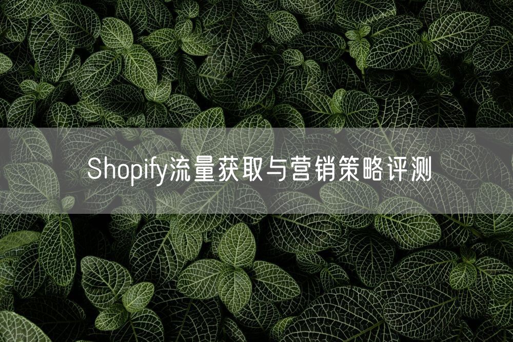 Shopify流量获取与营销策略评测