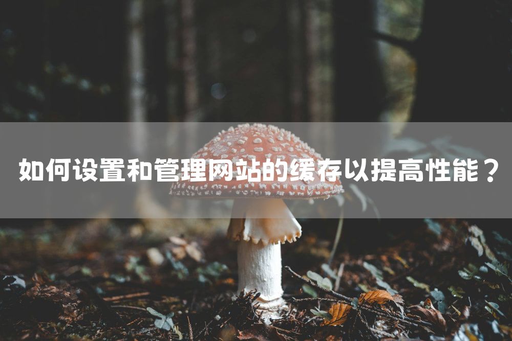 如何设置和管理网站的缓存以提高性能？