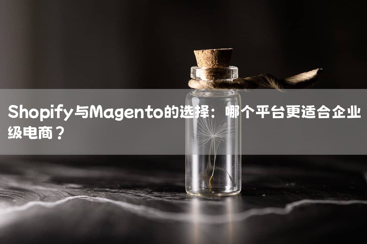 Shopify与Magento的选择：哪个平台更适合企业级电商？