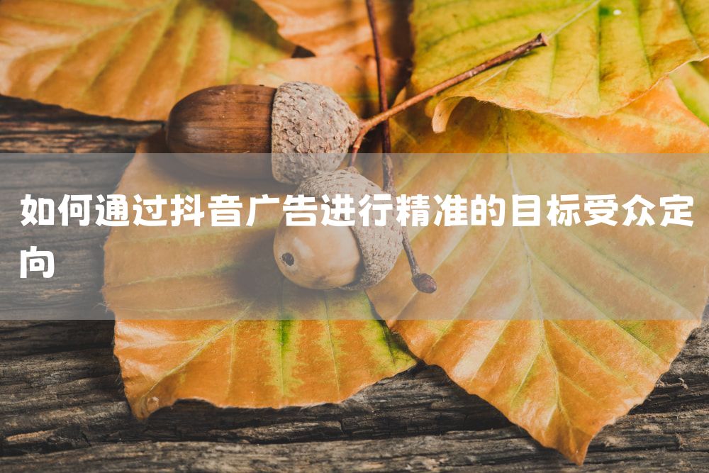 如何通过抖音广告进行精准的目标受众定向