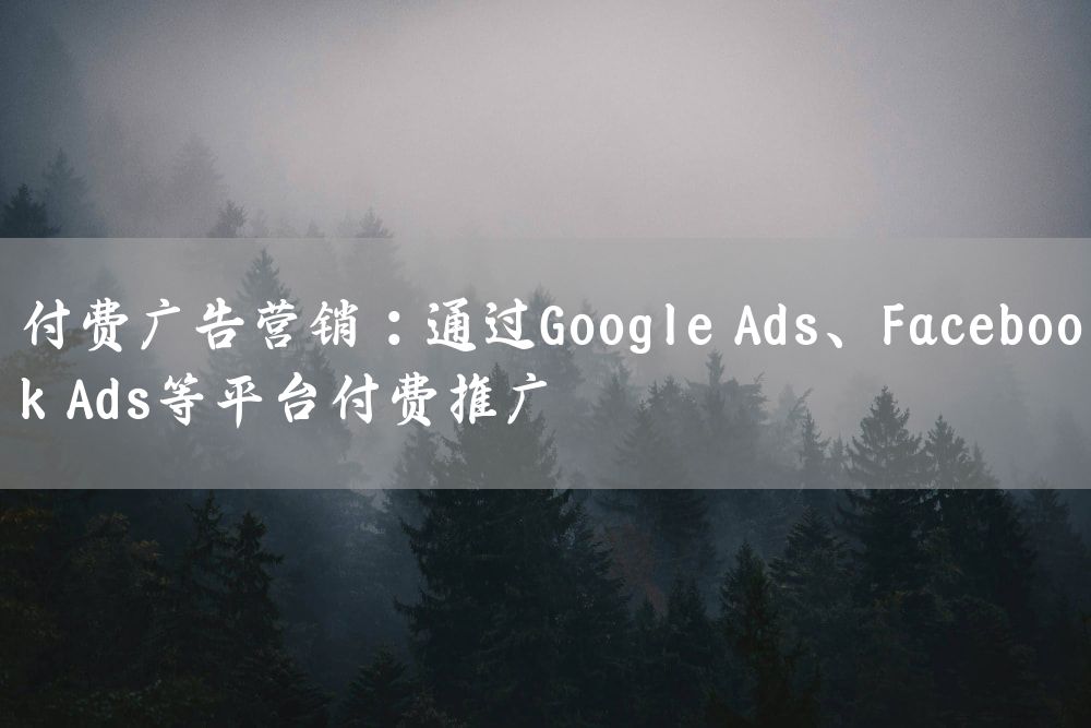 付费广告营销：通过Google Ads、Facebook Ads等平台付费推广