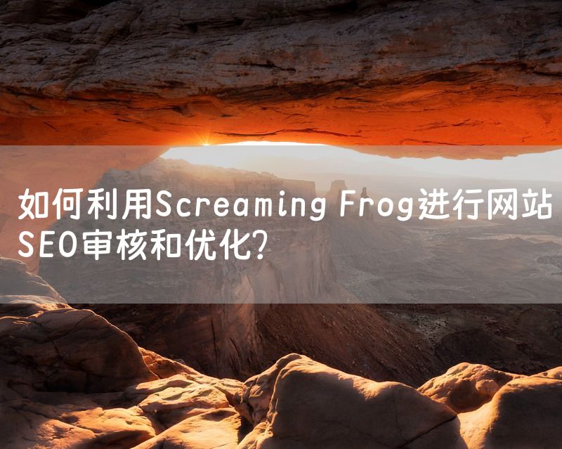 如何利用Screaming Frog进行网站SEO审核和优化？