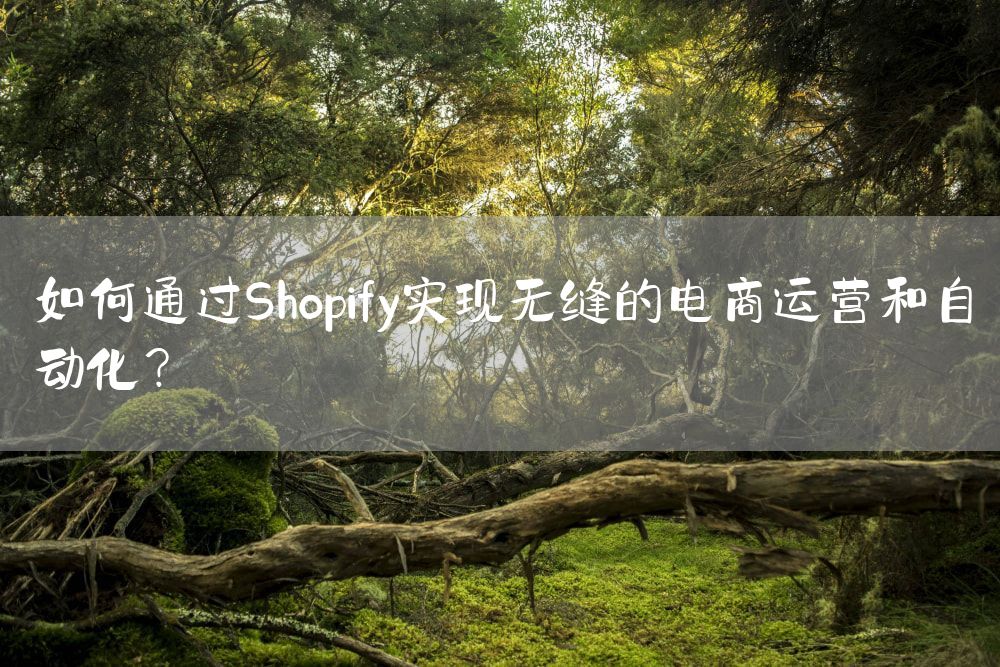 如何通过Shopify实现无缝的电商运营和自动化？