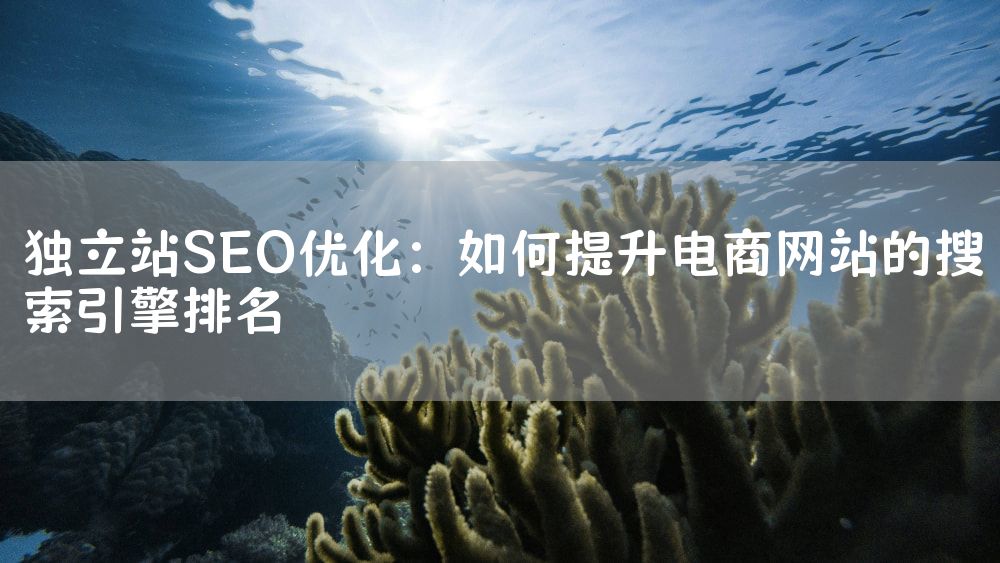 独立站SEO优化：如何提升电商网站的搜索引擎排名