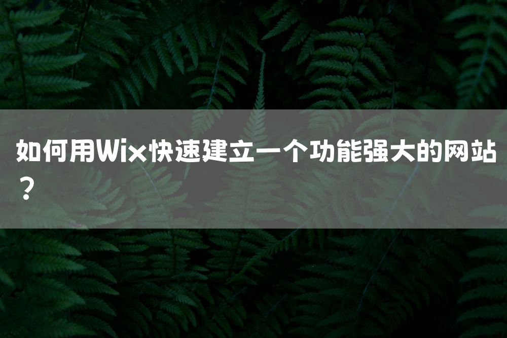 如何用Wix快速建立一个功能强大的网站？