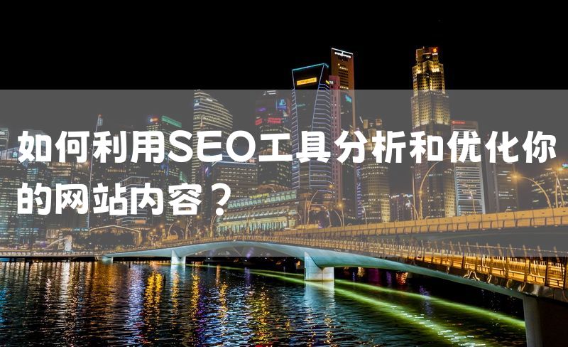 如何利用SEO工具分析和优化你的网站内容？