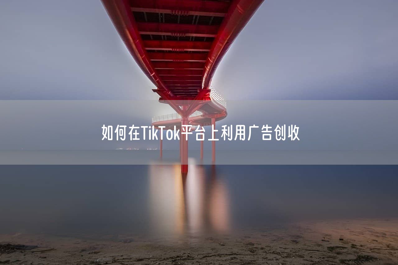 如何在TikTok平台上利用广告创收