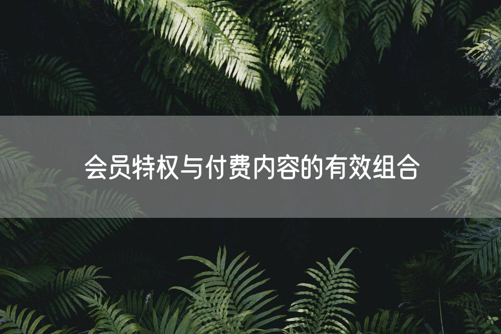 会员特权与付费内容的有效组合