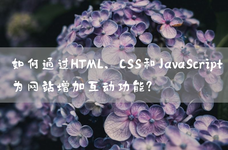 如何通过HTML、CSS和JavaScript为网站增加互动功能？