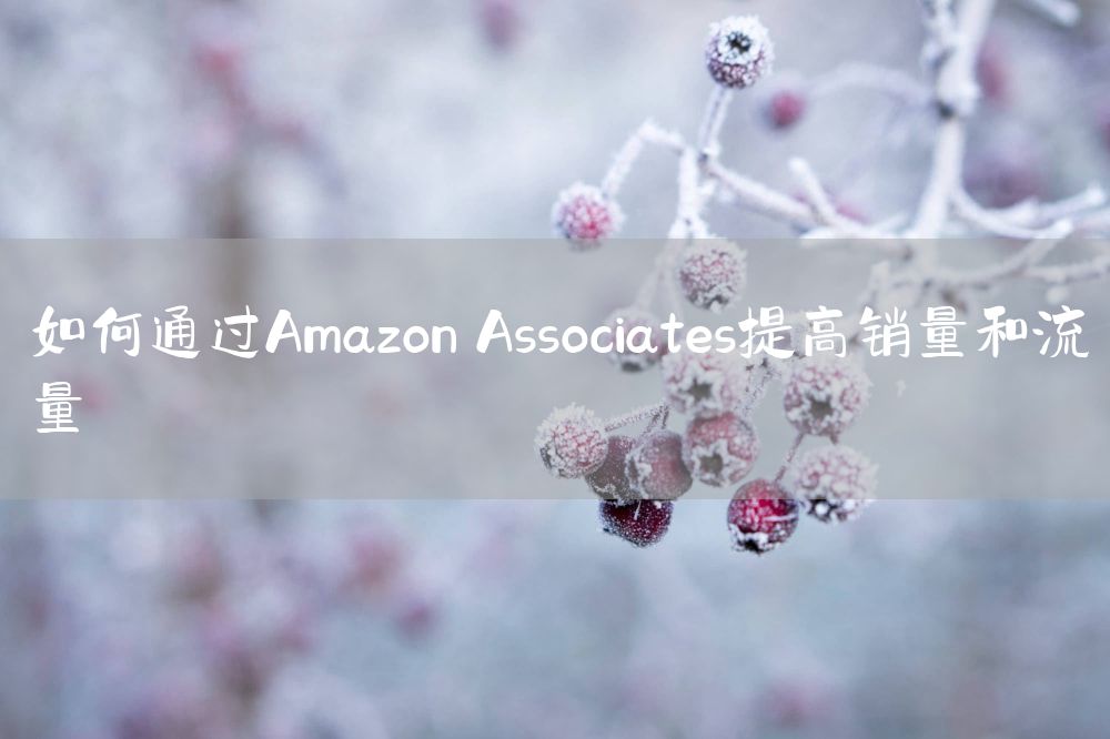 如何通过Amazon Associates提高销量和流量