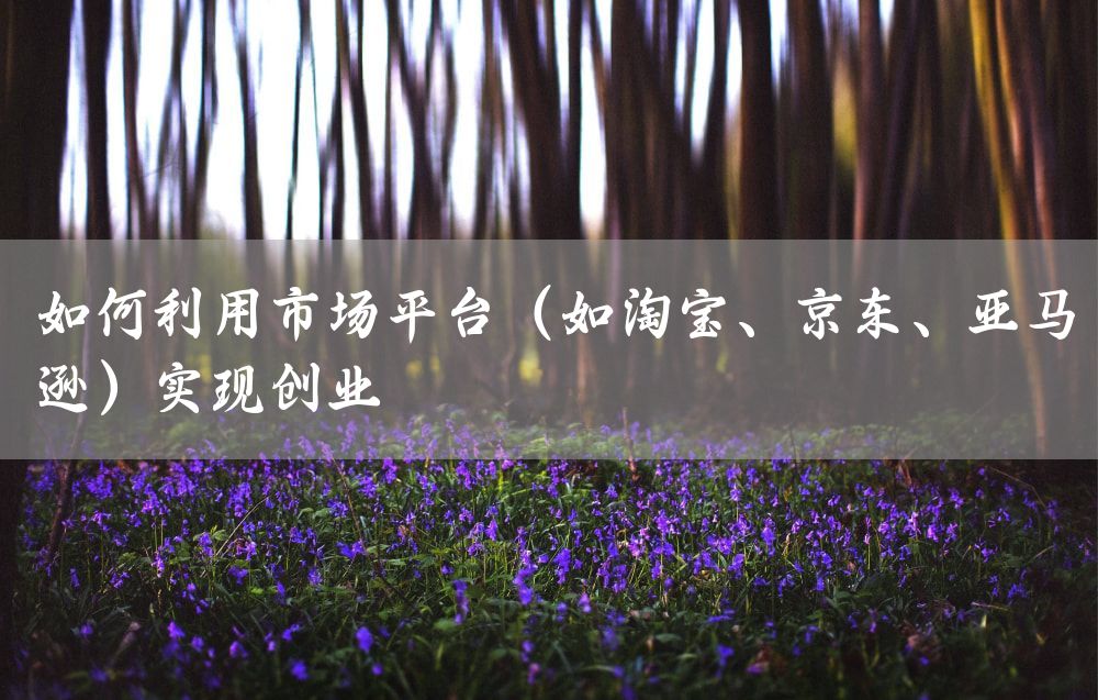 如何利用市场平台（如淘宝、京东、亚马逊）实现创业