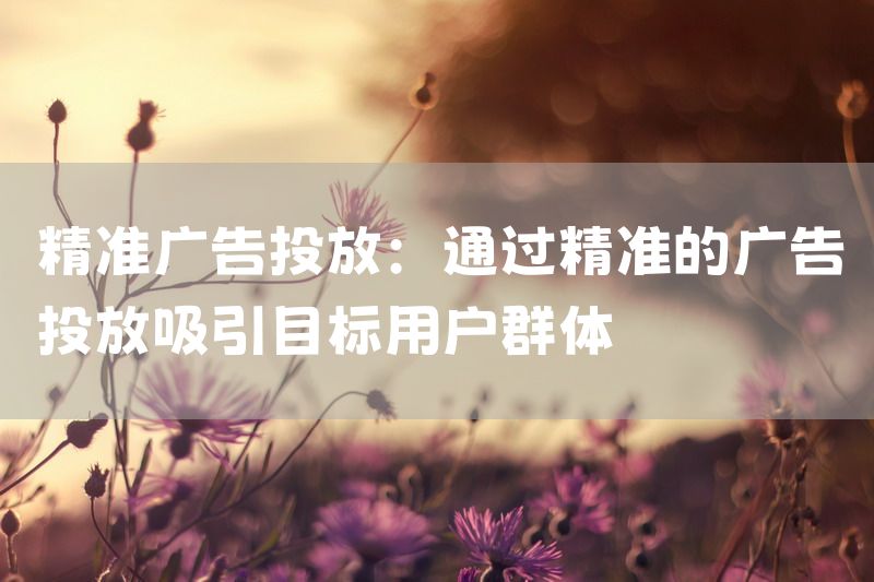 精准广告投放：通过精准的广告投放吸引目标用户群体