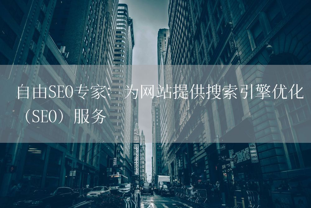 自由SEO专家：为网站提供搜索引擎优化（SEO）服务