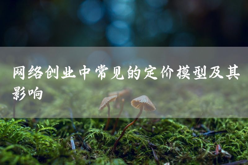 网络创业中常见的定价模型及其影响