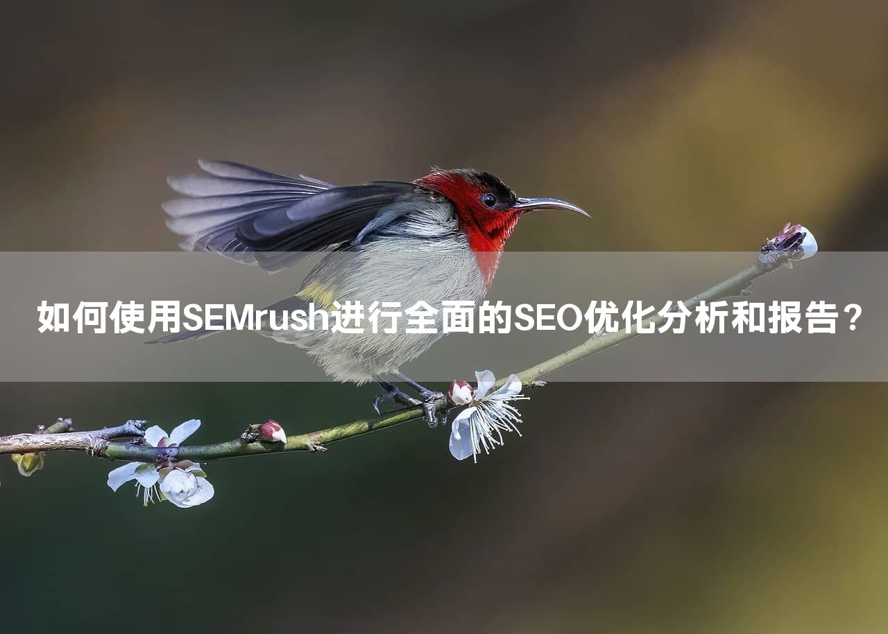 如何使用SEMrush进行全面的SEO优化分析和报告？