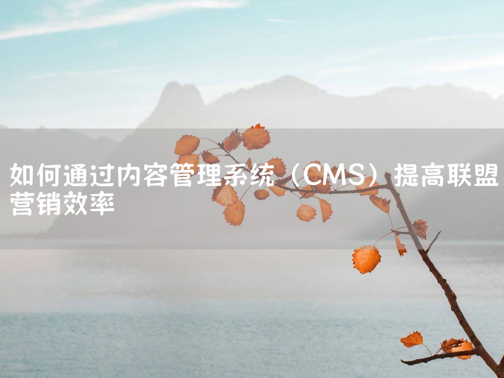 如何通过内容管理系统（CMS）提高联盟营销效率