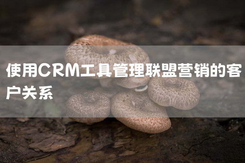 使用CRM工具管理联盟营销的客户关系