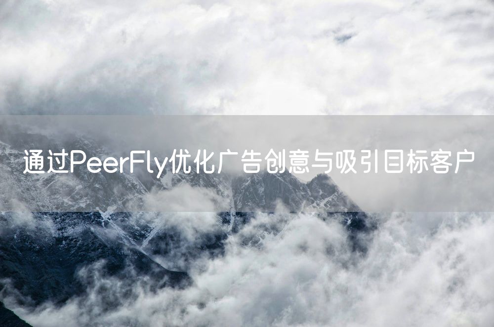 通过PeerFly优化广告创意与吸引目标客户